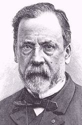 Pasteur1
