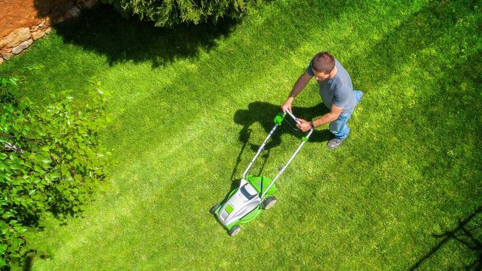 Lawns Are Overrated