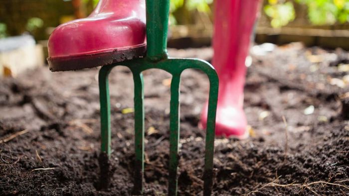 Reasons to Avoid Tilling Your Garden This Autumn