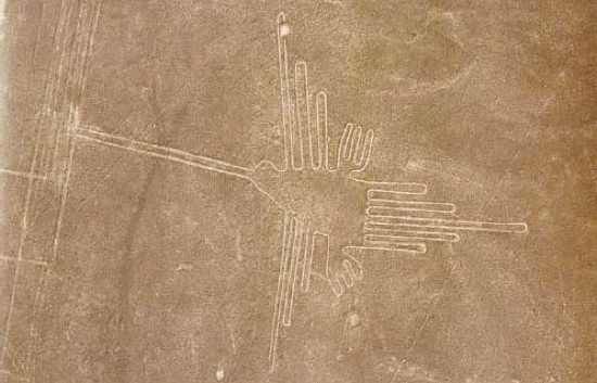Nasca Hbird