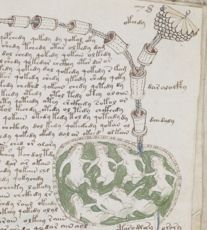 542Px-Voynich Manuscript Bathtub2 Example 78R Cropped