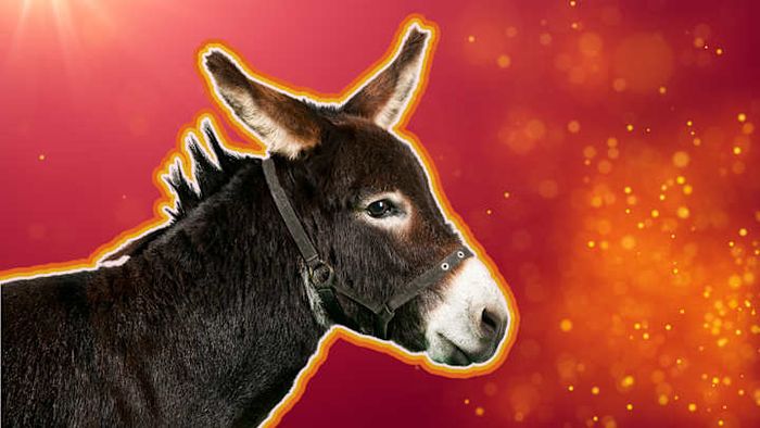 The Christmas track that’s both adored and loathed.