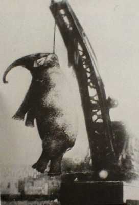 Big-Mary-Lynching1