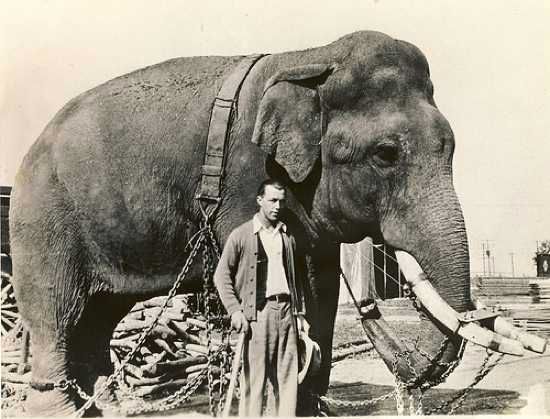 Black Diamond 1928