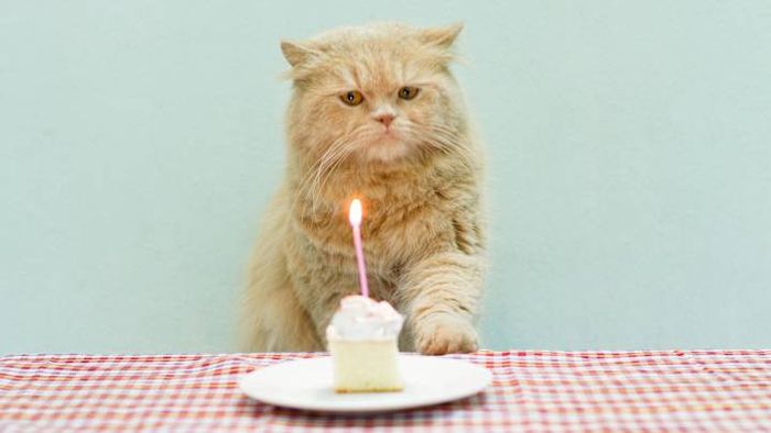 Each birthday is a milestone, especially when you only live once.