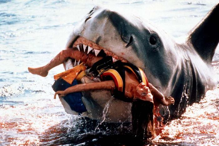 A still from the movie 'Jaws' is shown