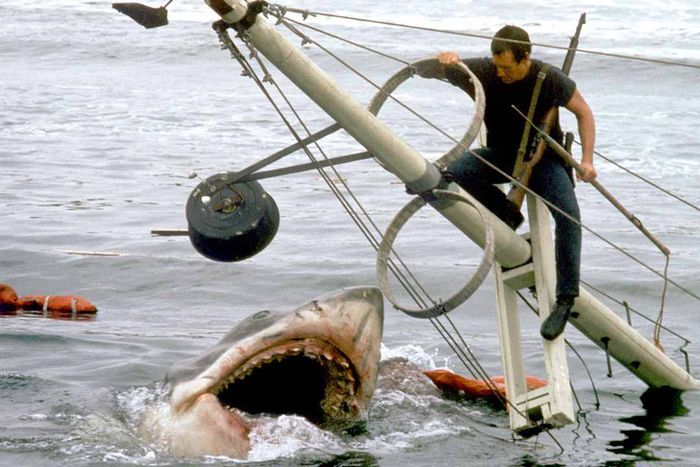 A still from the movie 'Jaws' is shown