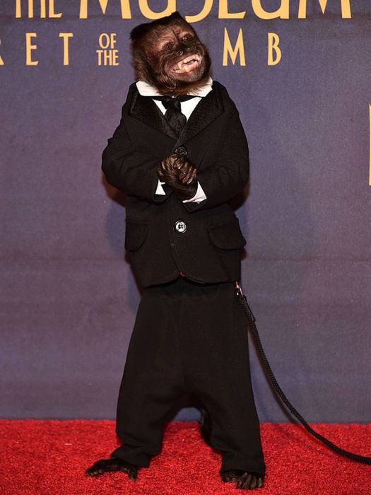 Crystal the Monkey