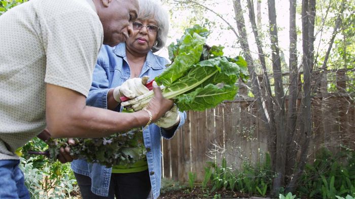 Plan a garden layout that suits your preferences