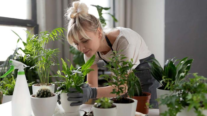 Make thoughtful choices when picking new plants