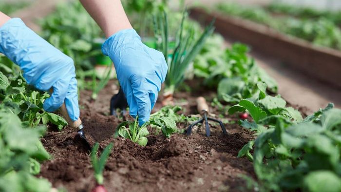 Begin mastering the art of composting