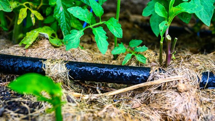 Fine-tune and automate your garden setup