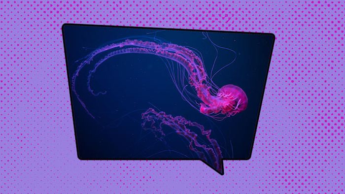 Why settle for the English term for jellyfish when its French counterpart offers a far more charming alternative?