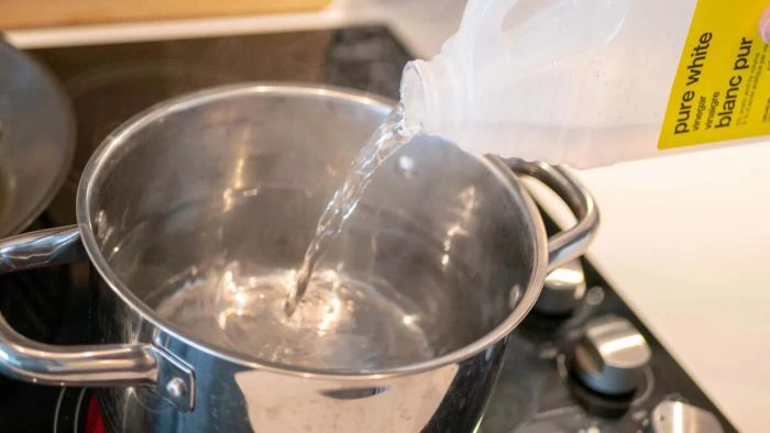 Neutralize Odors in Every Room by Simmering Vinegar