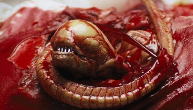 alien chest