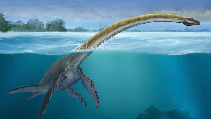 A plesiosaur emerging from the water with its head lifted.