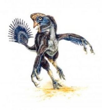 Imageresize2.Jpg