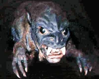Chupacabra22.Jpg