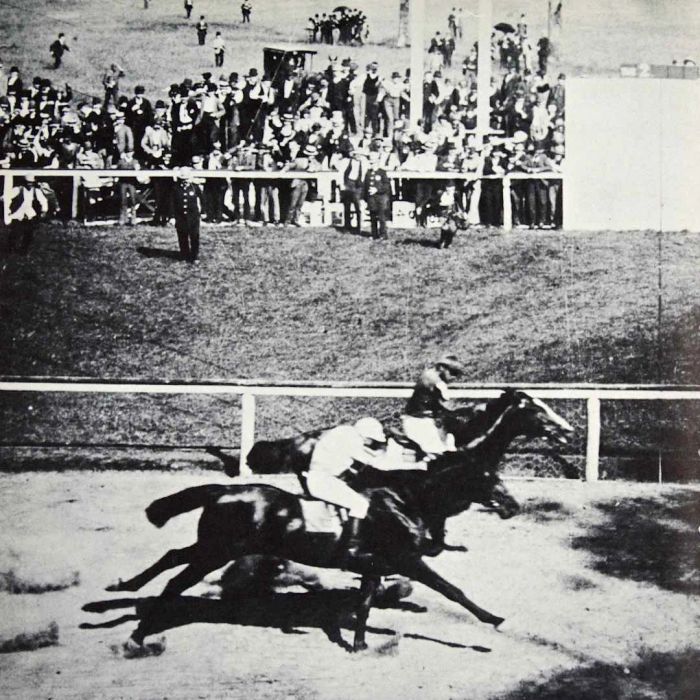 Salvator narrowly defeats Tenny at Sheepshead Bay in 1890.