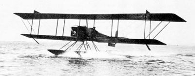Bluebill Takeoff