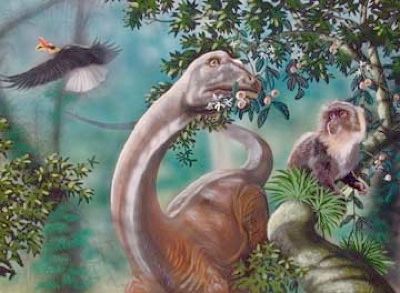 Mokele-Mbembe Feeding