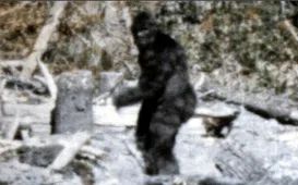 Bigfoot-1