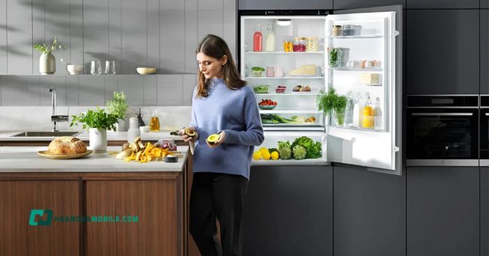 tu-lanh-electrolux-40