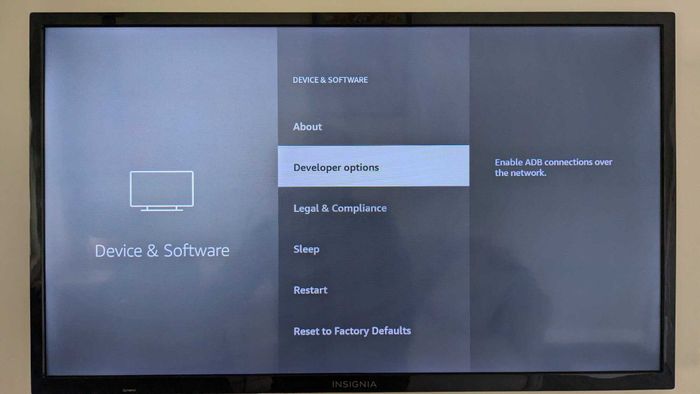 Developer Options now visible in the menu.