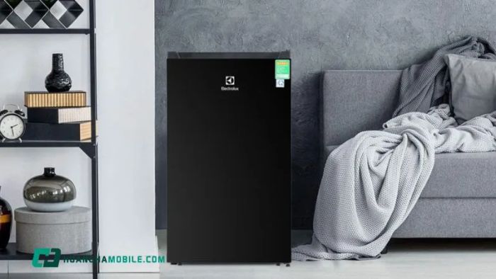 tu-lanh-electrolux-32