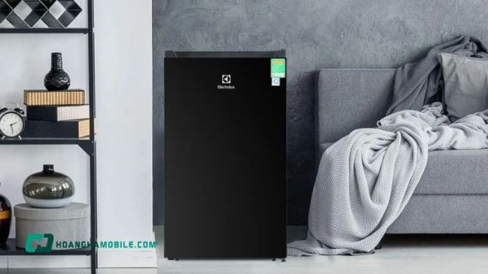 tu-lanh-electrolux-46