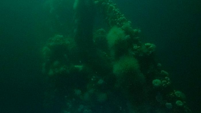 Upcoming Mission to Investigate the 1898 Shipwreck Dubbed ‘New England ...