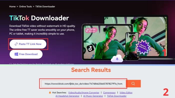 Cách tải video miễn phí từ web bằng Media.io - bước 3 và 4