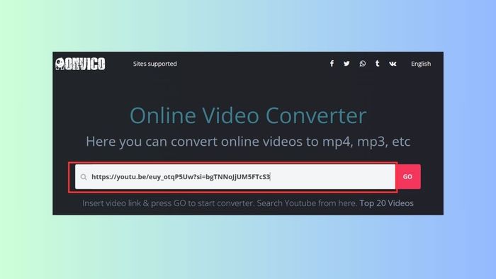 Cách tải video miễn phí từ web bằng OnlineVideoConverter.com - bước 1