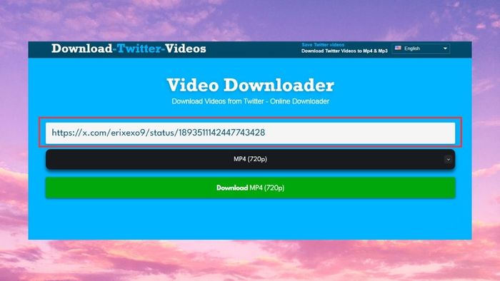 Cách tải video miễn phí từ web bằng DownloadTwitterVideo.com - bước 1 và 2