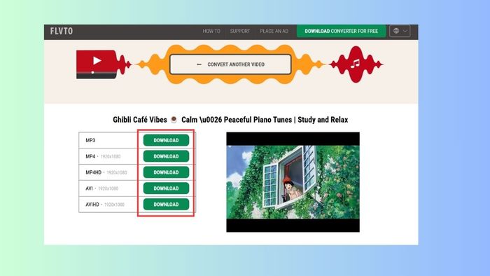 Cách tải video miễn phí từ web bằng FLVTO.biz - bước 3 và 4