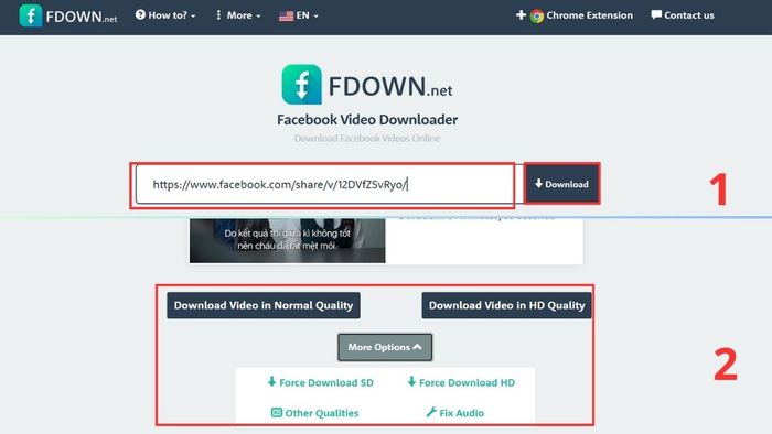 Cách tải video miễn phí từ web bằng FDown.net