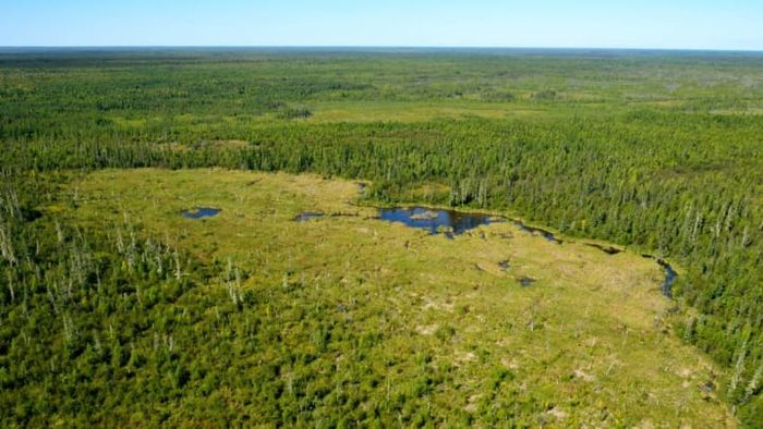Image Provided by Parks Canada