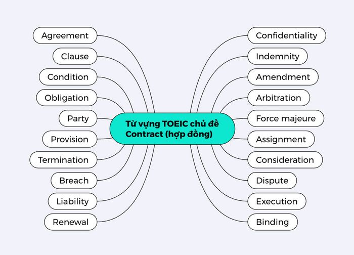 Từ vựng TOEIC thuộc chủ đề hợp đồng