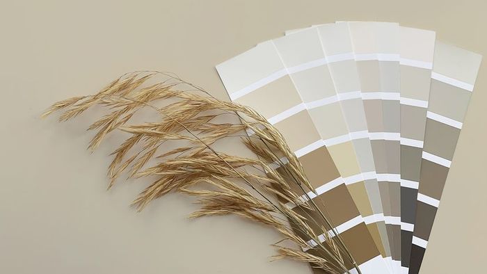paint chips in neutral shades paired with a straw accent