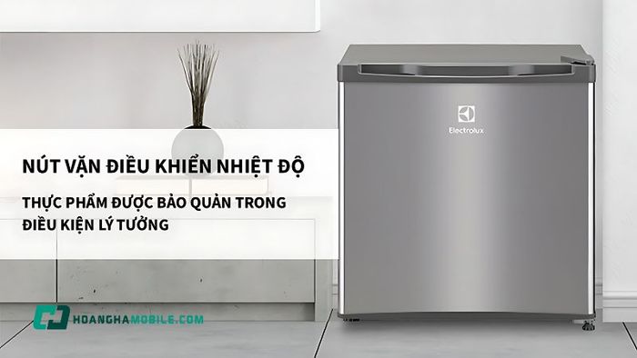 tu-lanh-mini-co-ngan-da-13