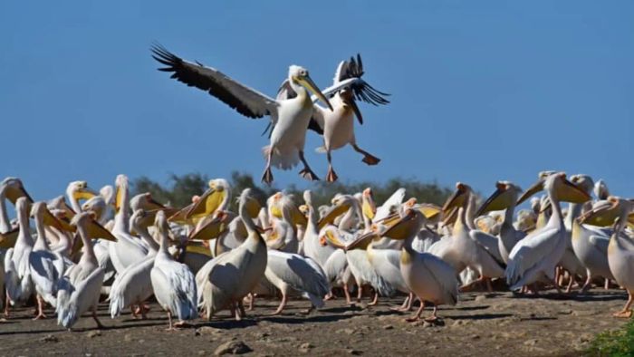 Claudiovidri/iStock via Getty Images