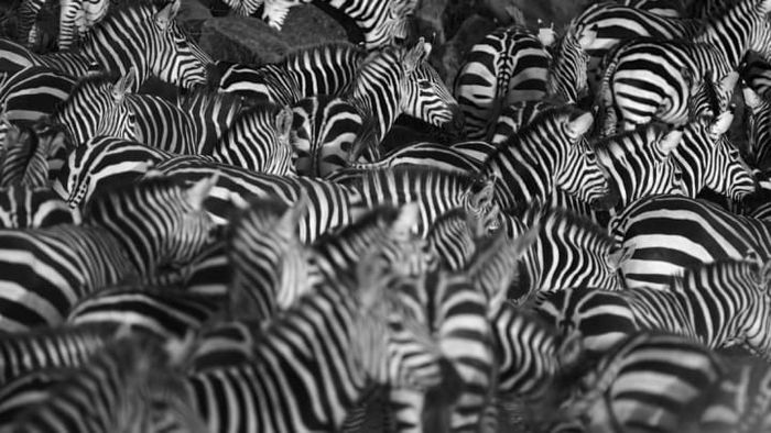 WLDavies/iStock