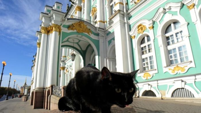 OLGA MALTSEVA/AFP/Getty Images