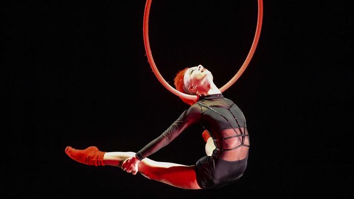 Aerial performances in the circus