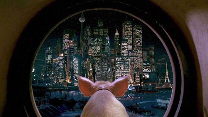 An image from Babe: Pig in the City showing Babe the pig gazing out a window at a bustling urban landscape
