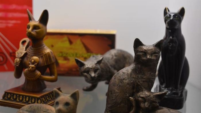 Courtesy of the American Museum of the House Cat