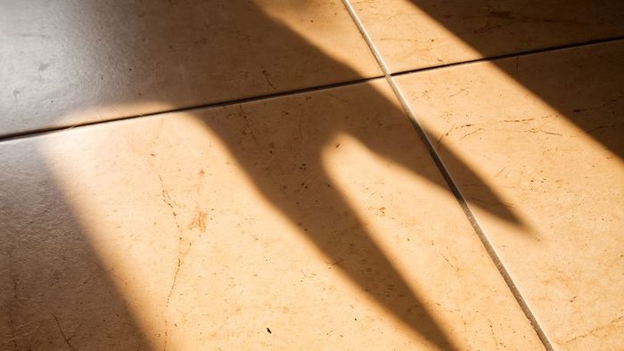 A silhouette of bat ears cast on the ground.
