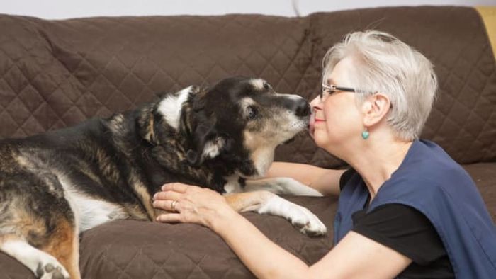 House with a Heart Senior Pet Sanctuary on Facebook