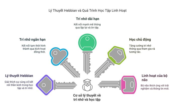 Nền tảng lý thuyết về trí nhớ và học tập