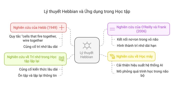 Các nghiên cứu khoa học chứng minh lý thuyết Hebbian trong học tập